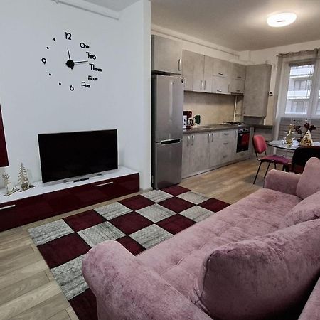 Ludi House Apartment Târgu-Mureş 外观 照片