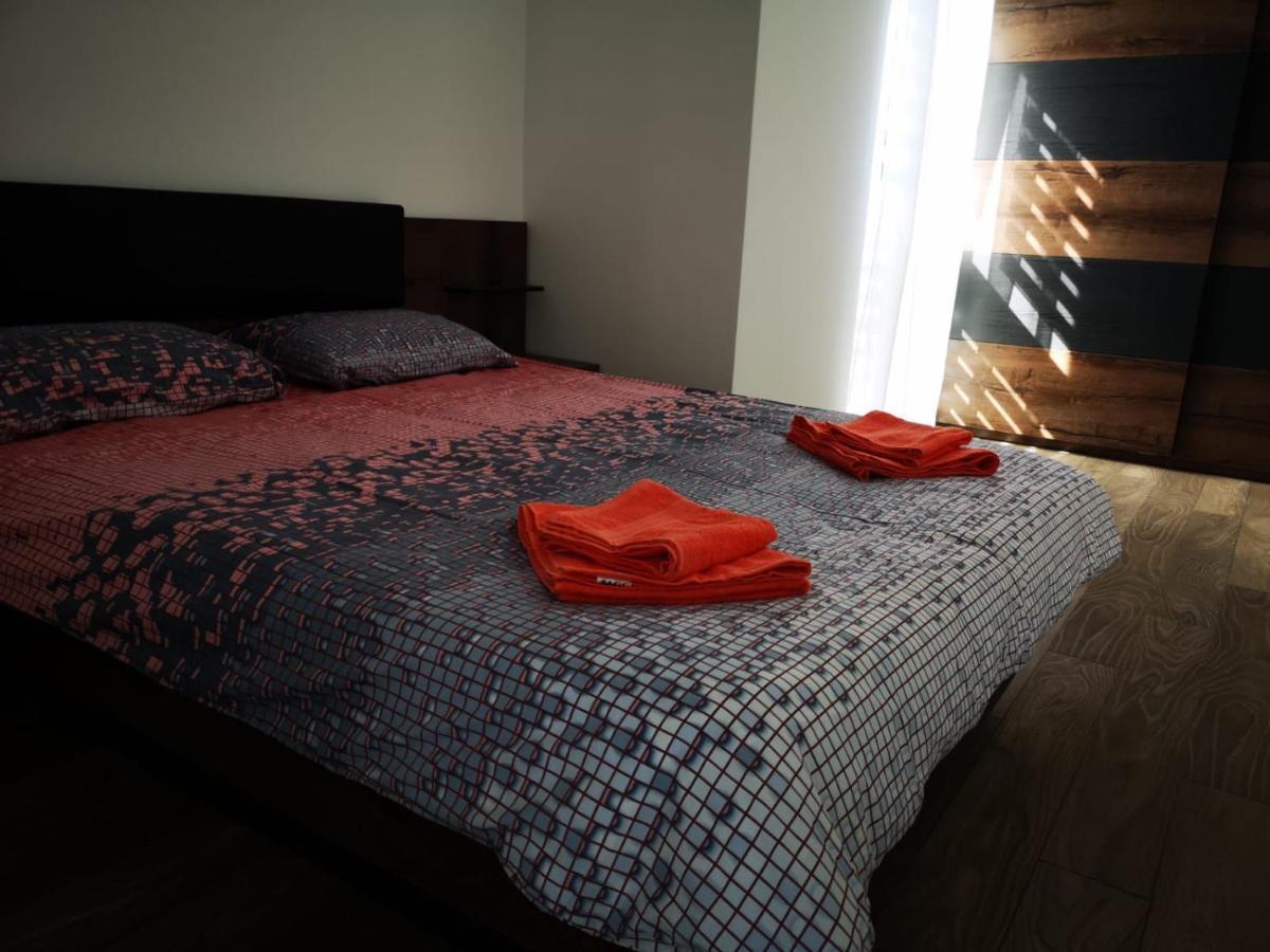 Ludi House Apartment Târgu-Mureş 外观 照片