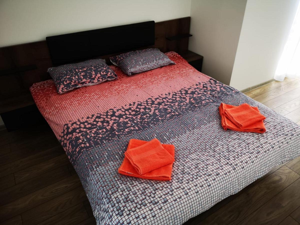 Ludi House Apartment Târgu-Mureş 外观 照片