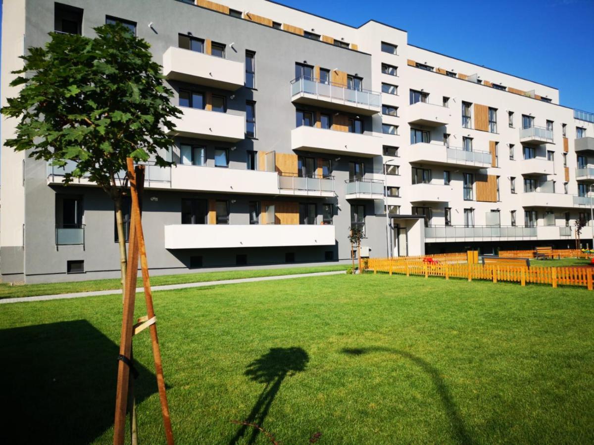 Ludi House Apartment Târgu-Mureş 外观 照片