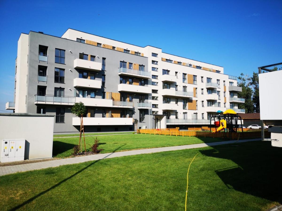 Ludi House Apartment Târgu-Mureş 外观 照片