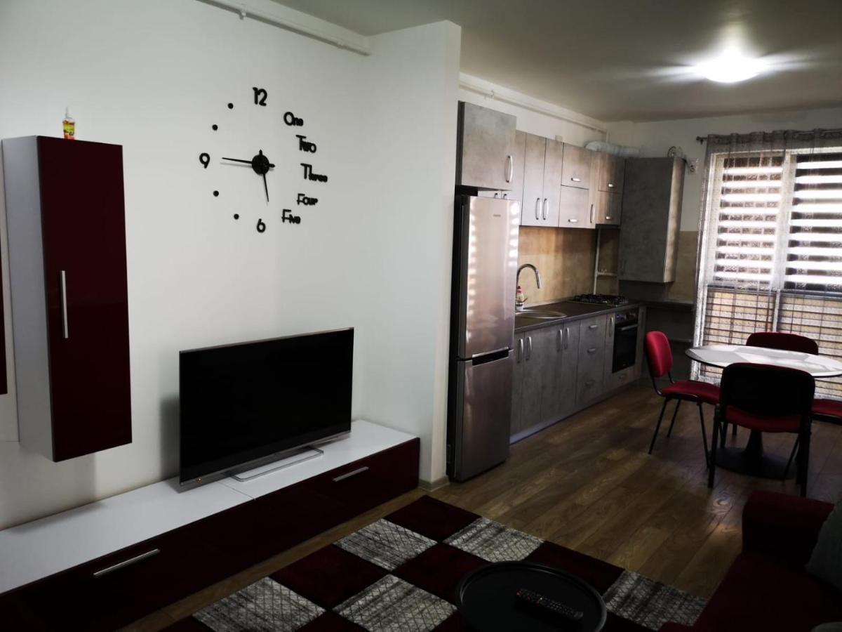 Ludi House Apartment Târgu-Mureş 外观 照片