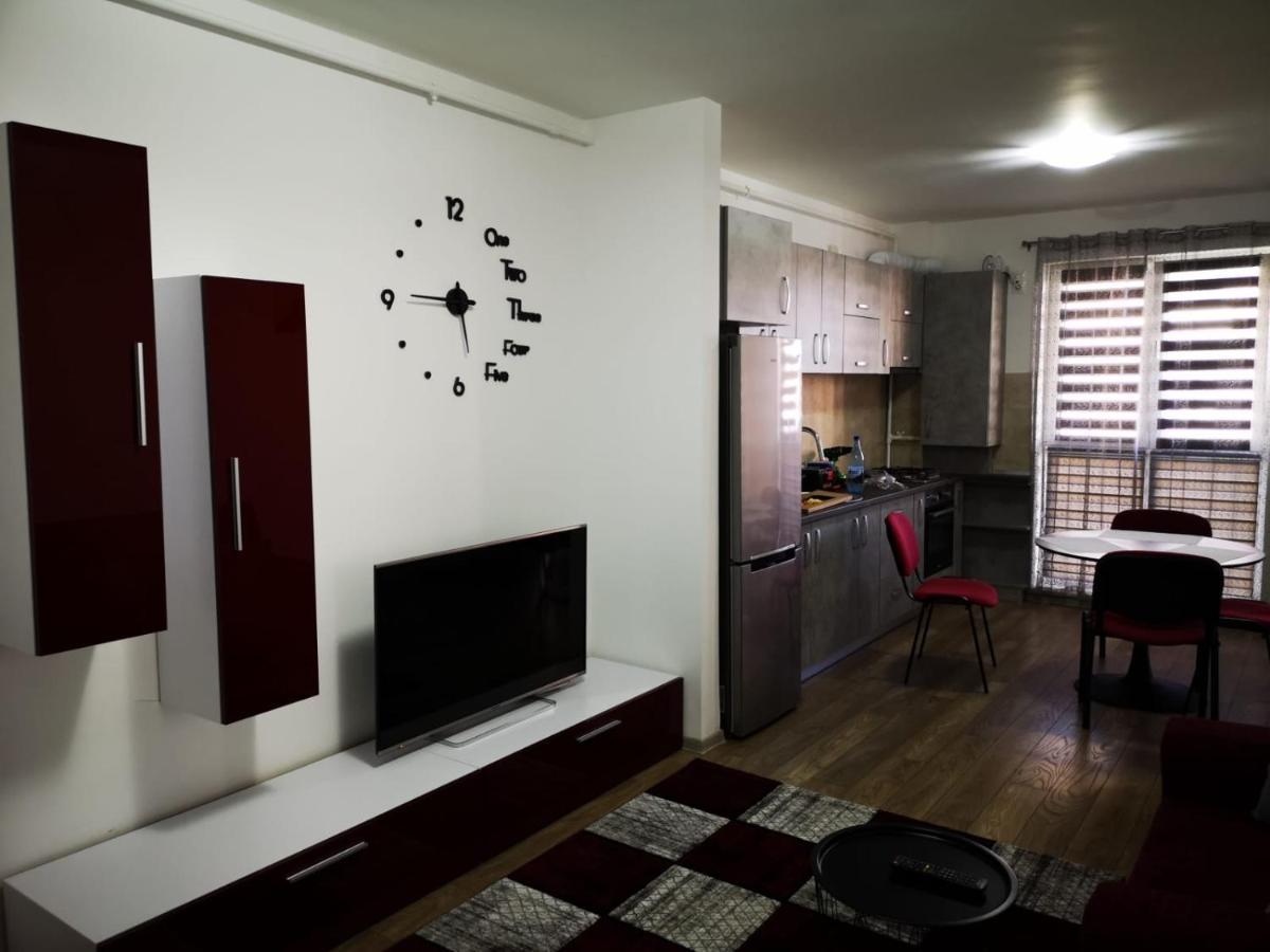 Ludi House Apartment Târgu-Mureş 外观 照片