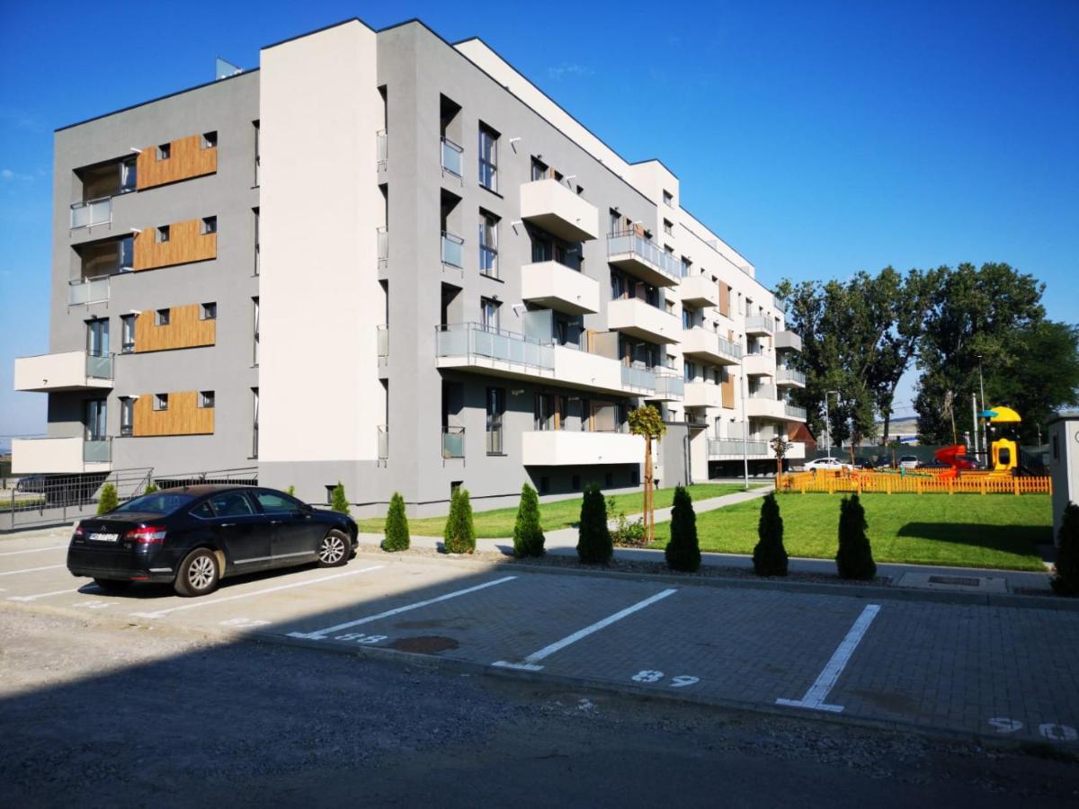 Ludi House Apartment Târgu-Mureş 外观 照片