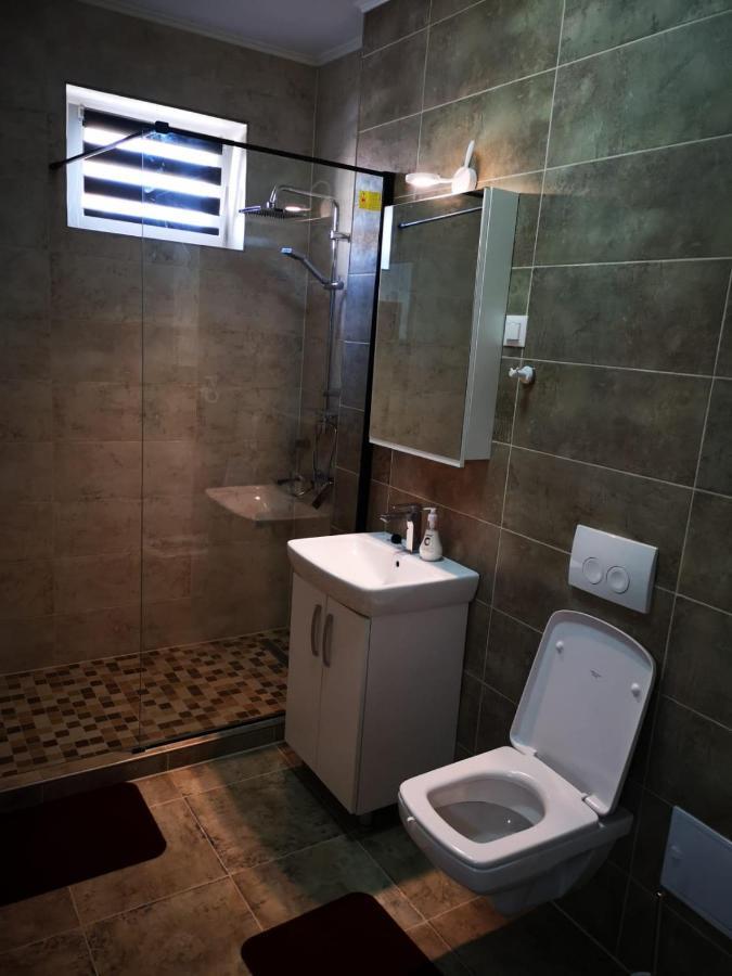 Ludi House Apartment Târgu-Mureş 外观 照片