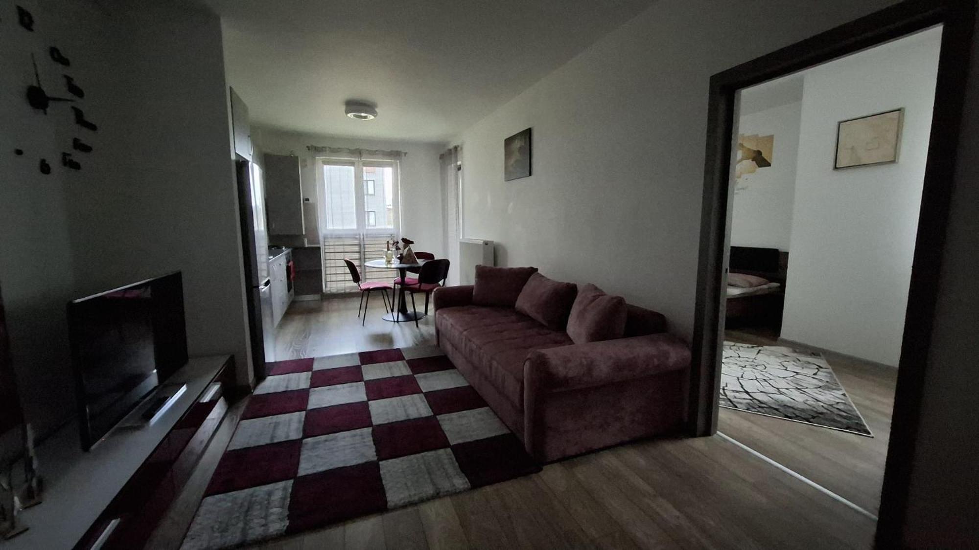 Ludi House Apartment Târgu-Mureş 外观 照片