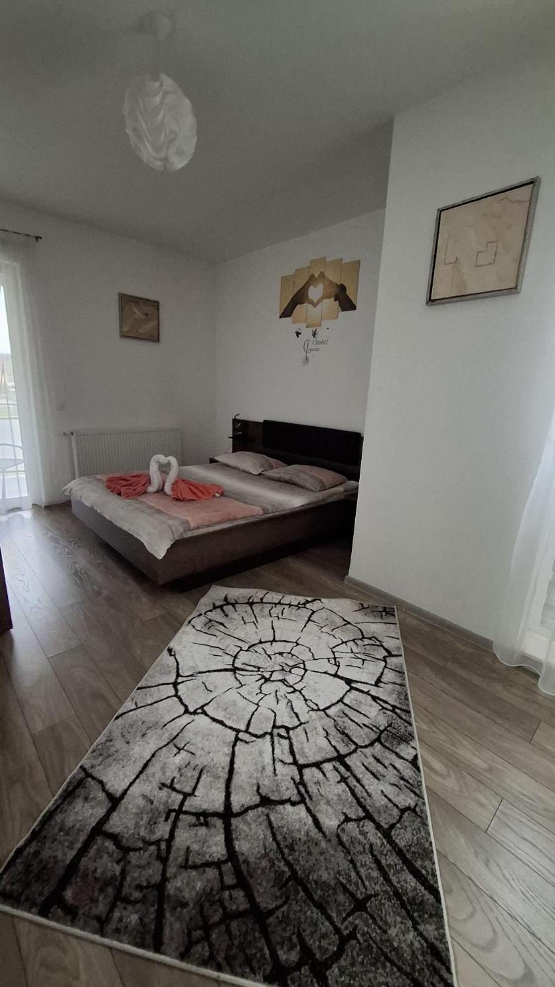 Ludi House Apartment Târgu-Mureş 外观 照片